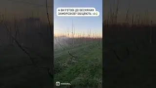 Питомник Маценко