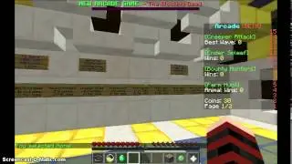 Minecraft Hypixel #1