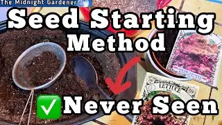 Epic Gardening Tips on Starting Seeds Indoors, How to Clean OLD Soil, Tossing Old Seed? Kitty Litter