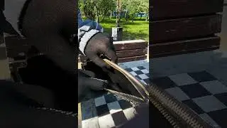 Барсетка из спины с двумя молниями