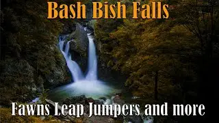 UPSTATE NEW YORK - LONG ISLAND TO BASH BISH FALLS - RED HOOK NY - FAWNS LEAP JUMPERS