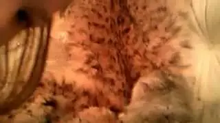 моя    квартира