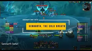 Sennarth, The Cold Breath | Beast Mastery Hunter | Dragonflight Raid Beta