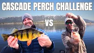 Lake Cascade HOG Perch Challenge (Me vs Crappie T - Part Deux)