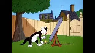 Looney Tunes - Piu Piu e Frajola (Compilação de episódios Completos)
