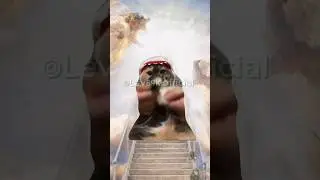 Странная история😐