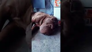 #набережные_челны