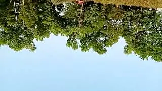 প্রকৃতি কত না সুন্দর