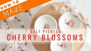 How to Make Pickled Cherry Blossoms【Sushi Chef Eye View】
