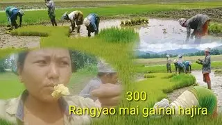 Mai gaidwg lwgwpwr hajira🌾(Dipamoni official m 🙏