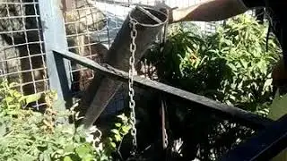 Медведь ест в тайгане