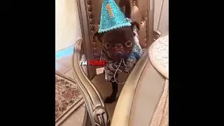 His First Birthday... And Nobody Came! 😢🎂