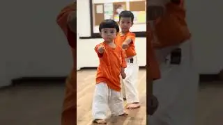 基本🦊　#karate #空手型 #空手形 #空手 #martialarts #空手形 #kawaii