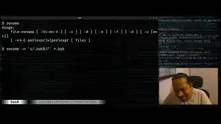 Linux command-line: Bulk rename files using the 'rename' command.