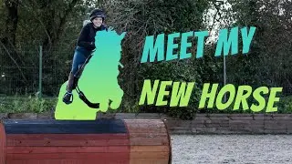 MEET MY NEW HORSE!!!