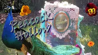 The Peacock Hollow