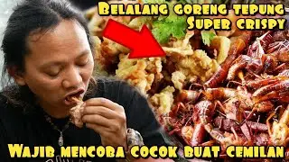BELALANG GORENG TEPUNG RAJANYA CRISPY | HASIL ALAM