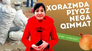 Xorazmda piyoz nega qimmat. Odamlar qanday fikirda