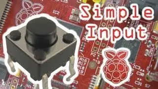 Simple Button Input with the Raspberry Pi