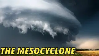 The Mesocyclone: The Beating Heart of a Supercell