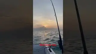 He made a beautiful world #love #jesus #family #fishing #god #shorts #subscribe