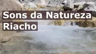 Sons da natureza - som de riacho