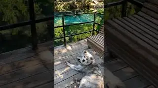 Японская медитация