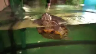 Фильм 