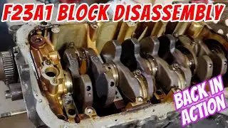 F23a1 block tear-down | crankshaft and rods inspected