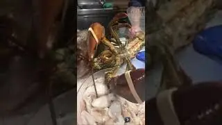 Живые морепродукты в ресторане.Испания/Spain.2021