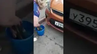Тестируем автополотенце Гринвей