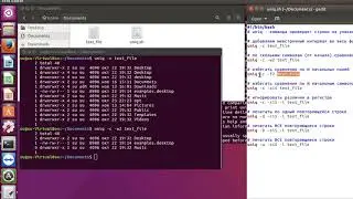 Linux command uniq - processing of unique and repeating lines.