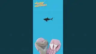 Is Megalodon Just A Huge Great White Shark? DEBUNKED #debunked #debunkingmyths #megalodon #largest