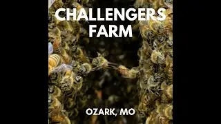 Bees: Mite Treatment Procedures & Bee Maintenance Part 2