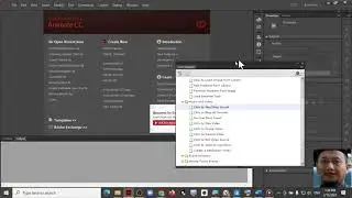 Adobe Animate CC ActionScript Loading External Sound