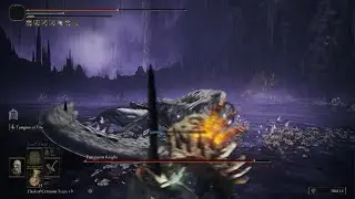 ELDEN RING  Beating  Purescent knight no summon