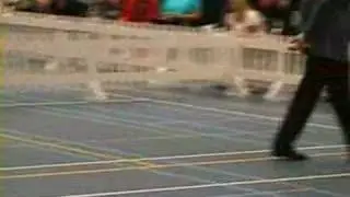 Championklasse Rüden