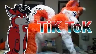 NIE OGLĄDAJ FURRY TIK TOK O 3:00 W NOCY (WYGRAJ 500 ZŁ)