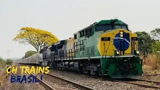 Locomotiva do Brasil + Dash EFA no tem da Suzano!