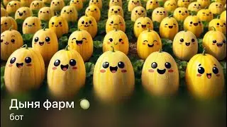 Аирдроп от DYNIA. Новая монета! Забирай 50 монет бесплатно!