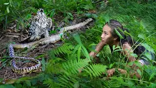 Spotted a Hunting Falcon - 