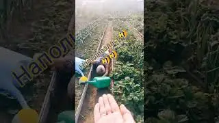 Юмор #дуэт #tiktok #прикол #trend #семья #смех #топ #жиза #shorts