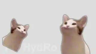 Cat Meme Blop (Skidiki Pa Pa Ed.)