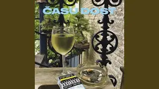 Intro