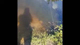 Река Оккервиль. Почему такая грязная, и есть ли в ней рыба?