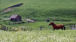 ПРОДАМ земельный участок в Горном Алтае