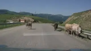 Еду на Домбай