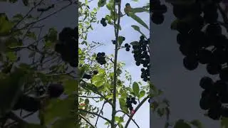 Бобруйск