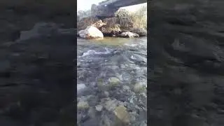 Dinlendirici, huzur verici ses...(terapi gibi)