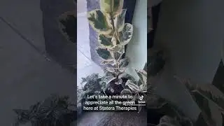 Just Me And My Plants